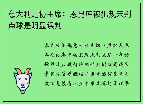 意大利足协主席：恩昆库被犯规未判点球是明显误判